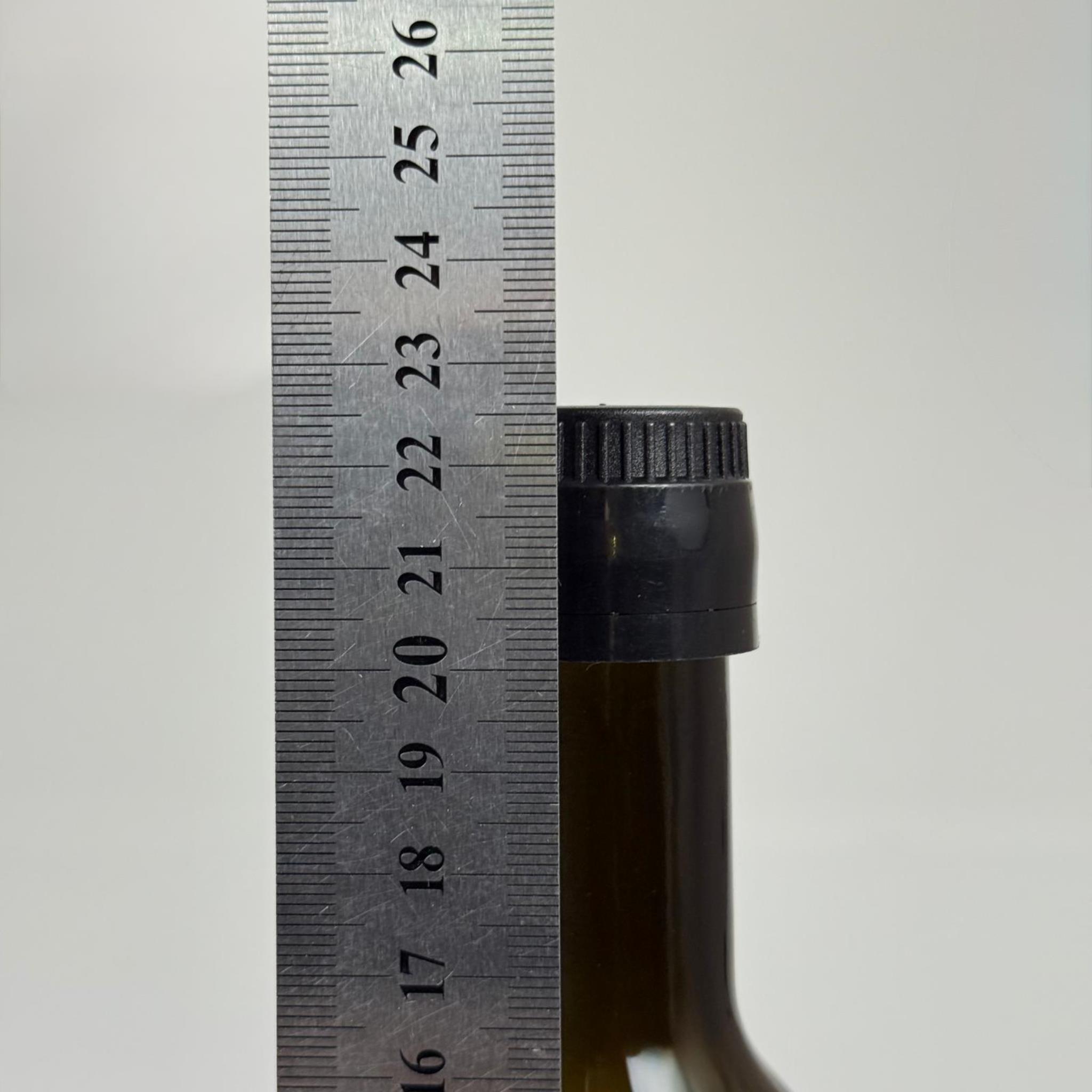 250 CC YEŞİL CESENA MODEL DORİCA CAM ŞİŞE - SİYAH AKITICILI DROP STOP KİLİTLİ KAPAKLI - 250 ML CESENA ŞİŞE - YEŞİL