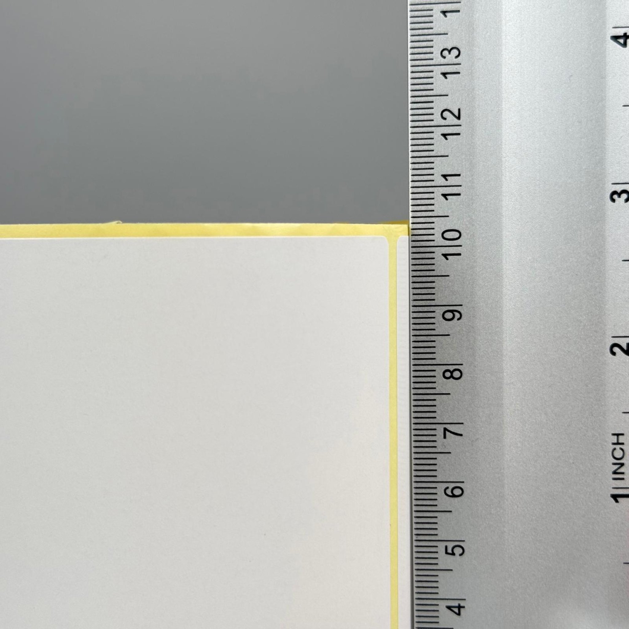 KUŞE ETİKET - YAPIŞKANLI 100 MM X 100 MT 1 TOP (500 ETİKET) - Kargo ve Akustik/Masaüstü Yazıcı Uyumlu Etiket - Argox, Zebra, Xprinter vb. Barkod Yazıcılar İle Uyumlu